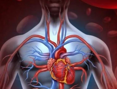 To «μαγικό» γιατροσόφι από τα παλιά: Ενισχύει ανοσοποιητικό, αποφράσσει αρτηρίες, αποτοξινώνει συκώτι και νεφρά